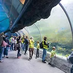 Silver - Orientarium,aquapark Fala & Park