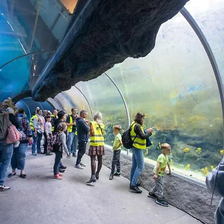 Silver - Orientarium,aquapark Fala & Park