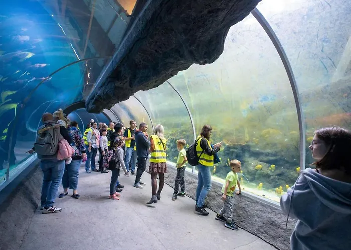 Silver - Orientarium,aquapark Fala & Park